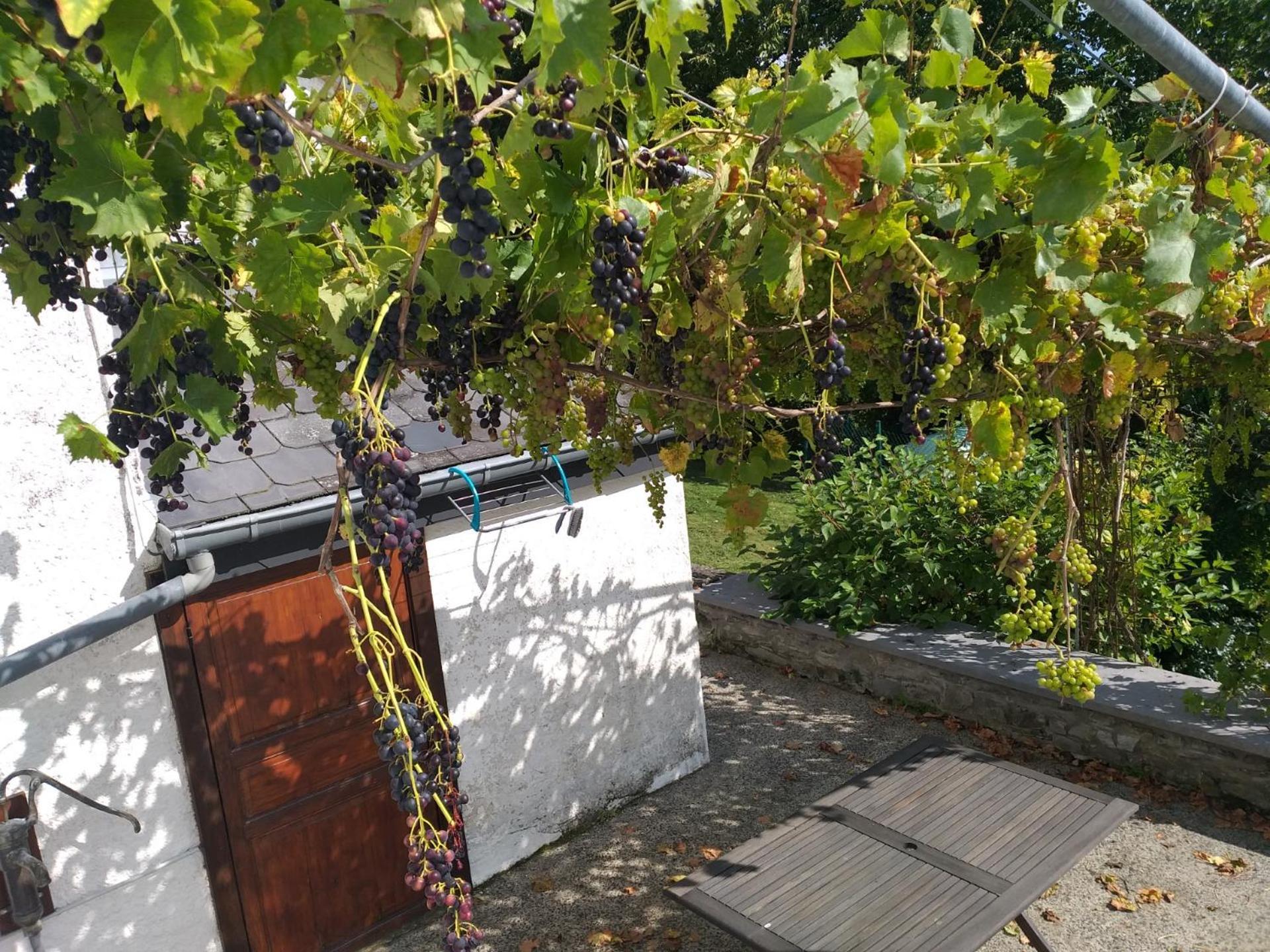 Gite L'Ecole De Ma Mere Villa Bertogne Kültér fotó