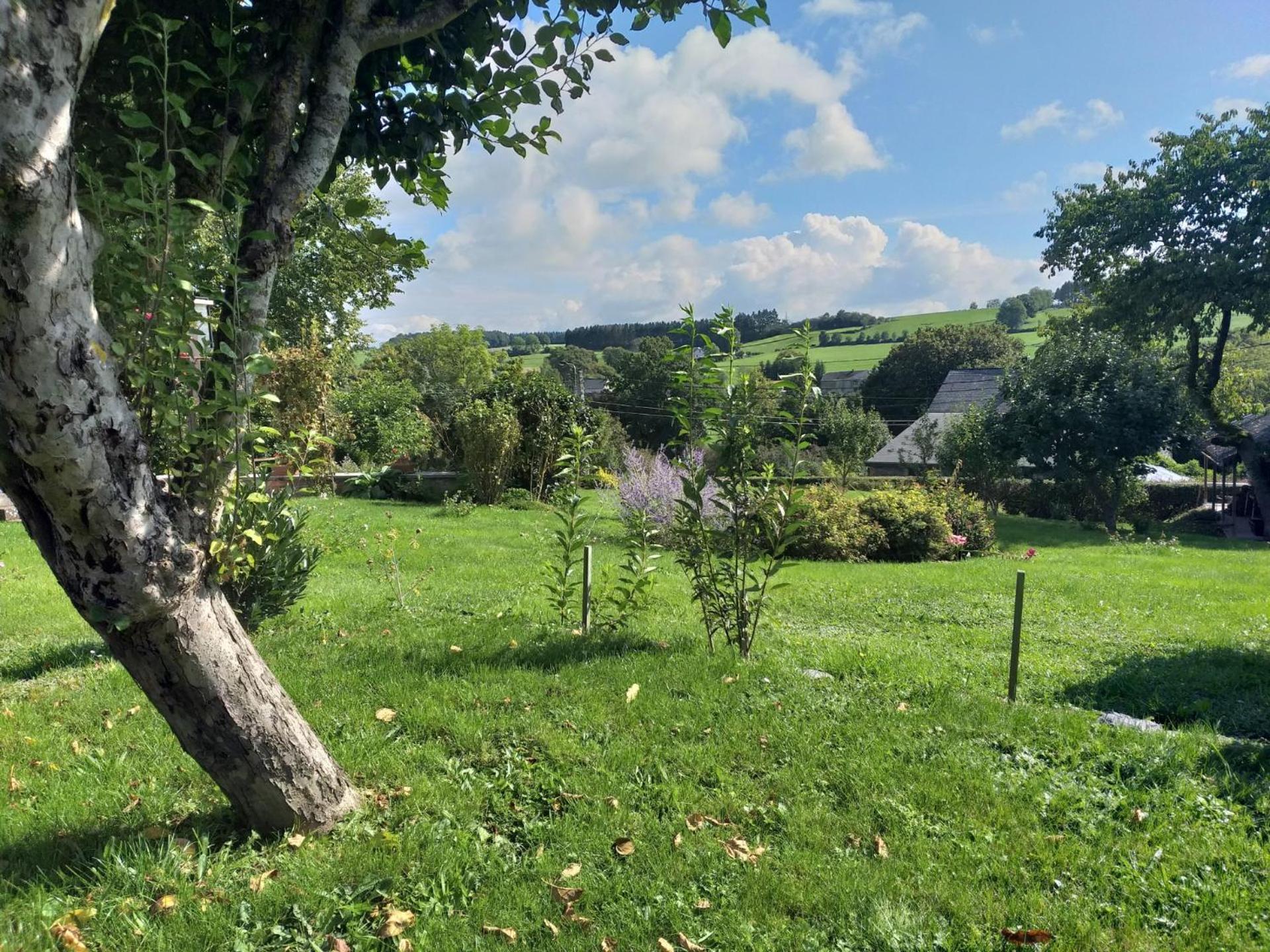 Gite L'Ecole De Ma Mere Villa Bertogne Kültér fotó